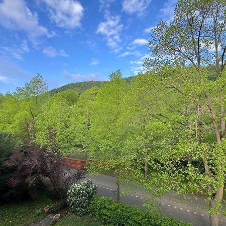 Apartment Villa Elisa Bad Kreuznach Eksteriør bilde