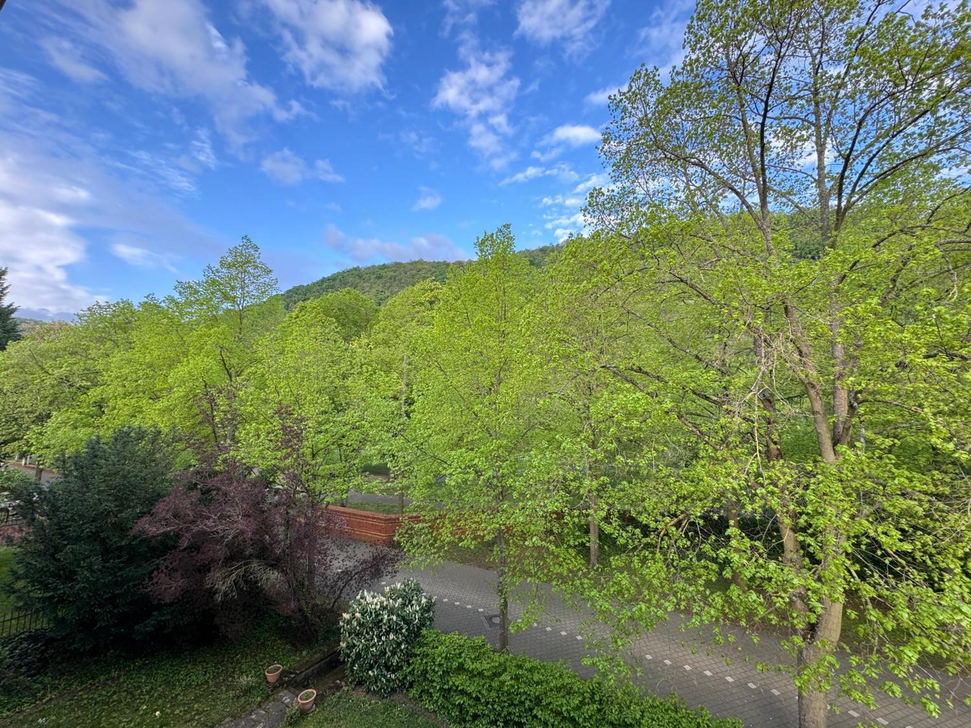 Apartment Villa Elisa Bad Kreuznach Eksteriør bilde