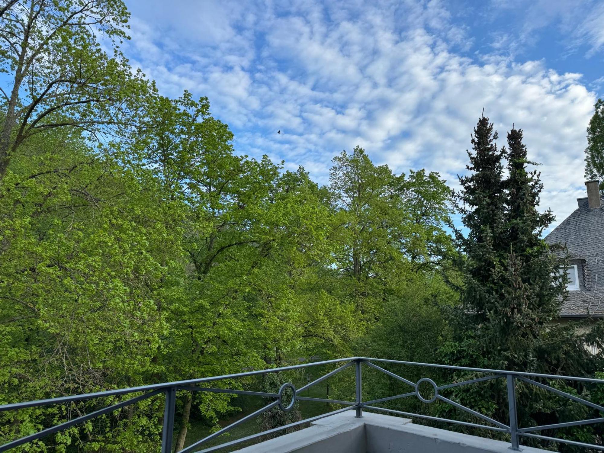 Apartment Villa Elisa Bad Kreuznach Eksteriør bilde